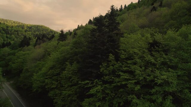 Adigeya Mountains Sunset Trees Green