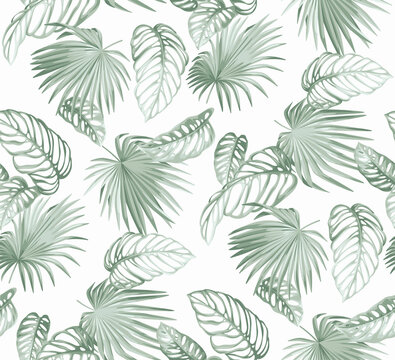 Hawaiian seamless pattern with exotic palm leaves. Tropical plants in realistic style. Foliage design. Vector botanical illustration on a white background. © Anna Sm