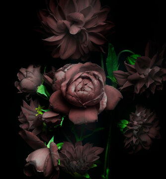 Dark Red Flowers, Roses And Dahlias On A Black Background.