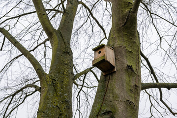 Bird box also called a nesting box on a tree in a public park to aid wildlife in finding somewhere safe to nest and raise their young