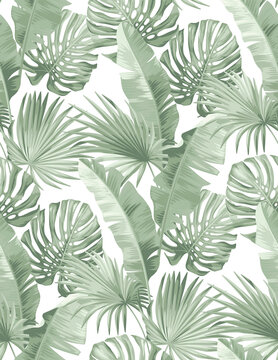 Seamless pattern with tropical palm leaves. Realistic style. Foliage summer background. Vector illustration. © Anna Sm