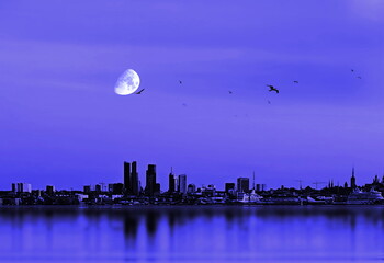  night Tallinn old town panorama view from Baltic sea seagull and moon on sky  evening nature European  city  background travel to Estonia