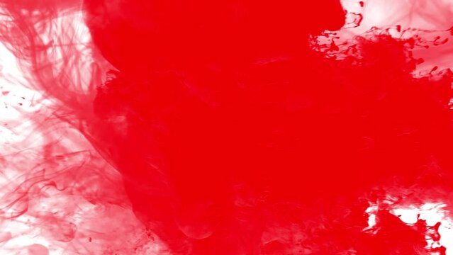 Red paint splash on white background 4k footage, paint explosion, watercolour 