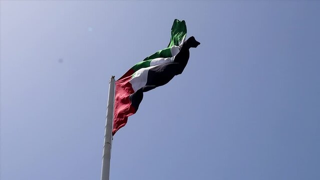 Flag of the United Arab Emirates waving in the wind