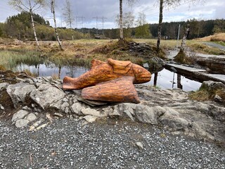 Smøråsfjellet Park and Recreating Area Hiking  Bergen Norway