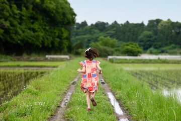 水田のあぜ道を歩く子供