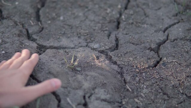 Cracked dry land, rising temperatures, global warming, environment and ecology. Selective focus