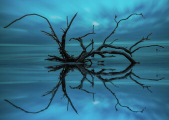 Jekyll Island, GA Water Reflections