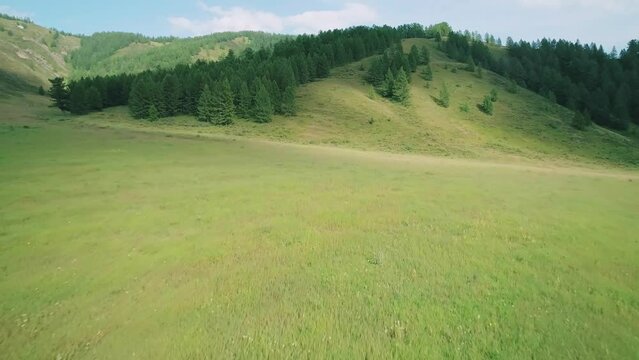 Low altitude aerial over a green field between the hills and trees. Beautiful summer landscape.