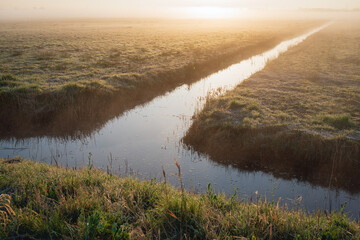 Crossroads of ditches on a foggy morning in a Dutch polder. It is cold and part of the grass is...