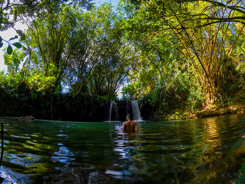 View of a small waterfall hidden in a forest located in Mauritius