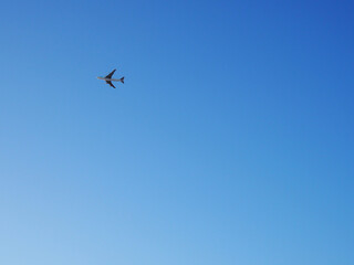 The big four-engine transport airplane is flying far away. Clear blue sky. International air freight. Background or backdrop