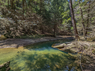 Obraz premium Iridescent Pool Surrounded by Pine Trees
