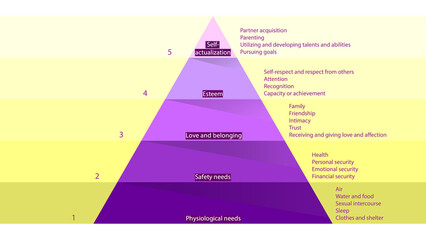 Maslow's hierarchy of needs. Abraham Maslow pyramid of needs vector design	
