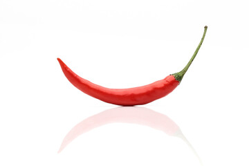 one red pepper isolated on a white background with reflection