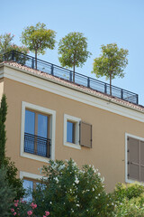 Roof garden with trees on a residential building