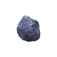 Black truffle isolated on white. Hand drawn illustration of subterranean fungi. Edible truffle for french and italian cuisine. 