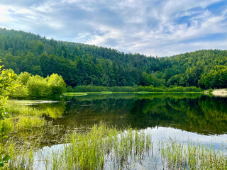 Mountains and green forest reflecting in the water of Lac de la Lauch on a sunny summer day
