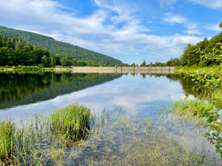 Mountains, dam and green forest reflecting in the water of Lac de la Lauch on a sunny summer day