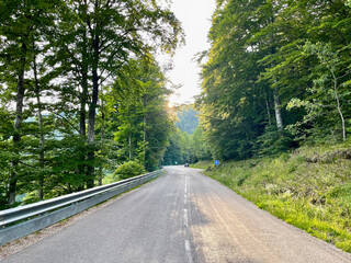 Deserted mountain large road at the end of the day, in the forest