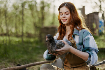 A woman with a smile takes care of a healthy chicken and holds a chicken in her hands while working on a farm in nature feeding organic food to birds in the sunshine.