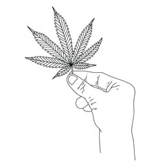 Vector illustration of a cannabis leaf. Hand holding marijuana leaf.