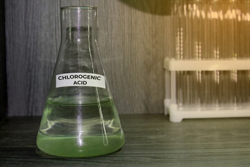 chlorogenic acid in a flask. Aqueous reagent in a chemical flask. The concept of preparation for...
