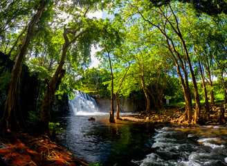 View of Rochester falls during a morning in the southf of Mauritius island	