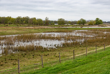 Green farmland and wetland at the Dutch countryside around Echt