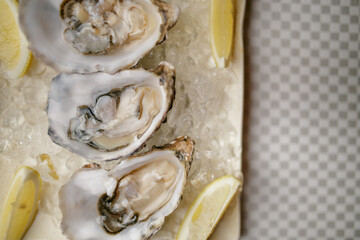Oysters and lemon slices on ice on a plate. Oysters with lemon on a plate close-up, selective focus