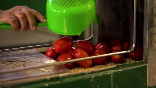 Making of tomatoe sauce 