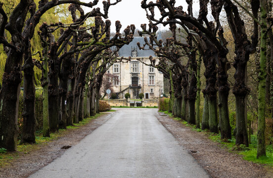 Valkenburg, Limburg, The Netherlands - Tree lane towards the old castle