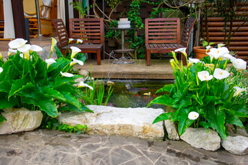 Decorating a small garden artificial pond with goldfish. Plants and stones in the design of the pond