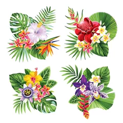 Deurstickers Tropical summer arrangements with palm leaves and exotic flowers. Vector illustration isolated on a white background. © Anna Sm
