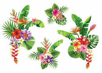Tropical summer arrangements with palm leaves and exotic flowers. Vector illustration isolated on a white background. © Anna Sm