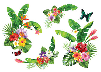 Tropical summer arrangements with palm leaves and exotic flowers. Vector illustration isolated on a white background. - obrazy, fototapety, plakaty