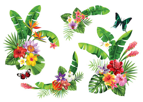 Fototapeta Tropical summer arrangements with palm leaves and exotic flowers. Vector illustration isolated on a white background.
