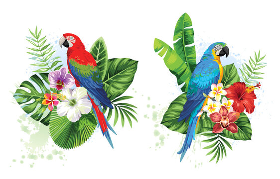 Tropical summer arrangements with birds, palm leaves and exotic flowers. Vector illustration.
