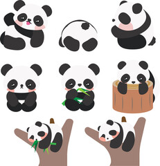 Set of Cute Cartoon Baby Panda. Different panda poses collection. Cartoon Panda Collection. Illustration, Vector, EPS10