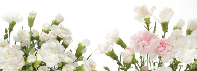 Beige flower bouquet on white horizontal long copy space background.