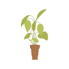 Office plant in a brown pot. Isolated. Flat style.