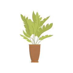 Houseplant in a brown pot. Isolated. Flat style.
