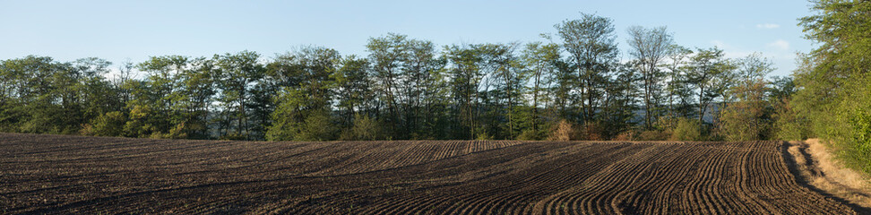 Agricultural lands are plowed, and prepared for vegetation. © Piotr