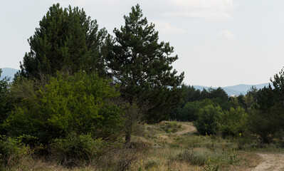 Obraz premium Panoramic terrain of southern Europe. Landscape of Bulgaria-mountains, fields, flora.