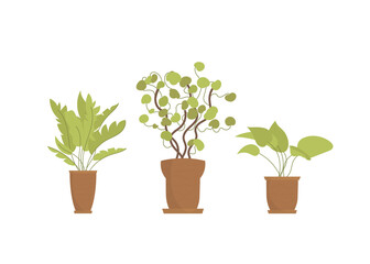 A set of plants in a pot. Isolated. Flat style.