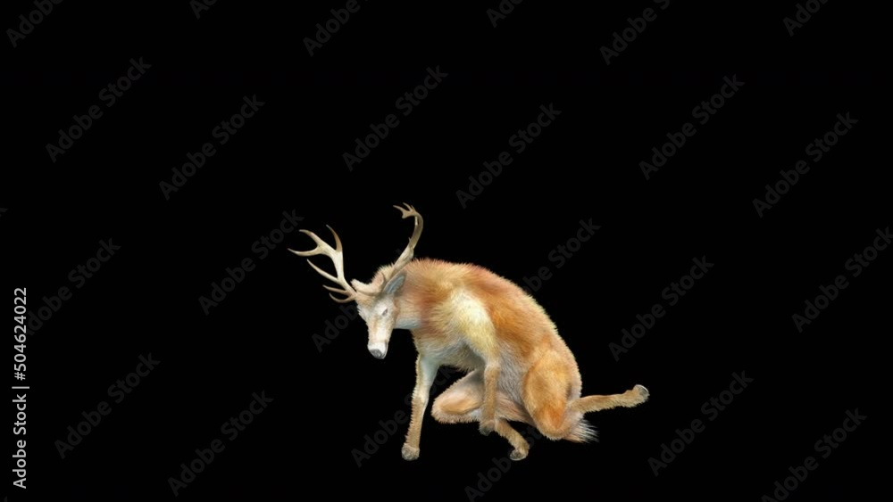 Fototapete deer dancing cg fur 3d rendering animal realistic cgi vfx animation loop composition 3d mapping cart