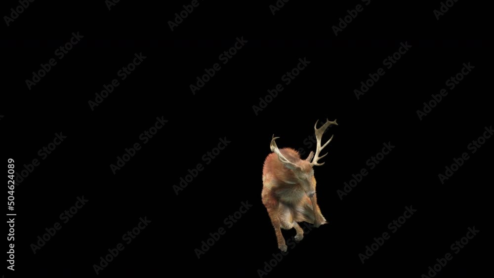 Fototapete deer dancing cg fur 3d rendering animal realistic cgi vfx animation loop composition 3d mapping cart