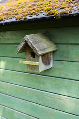Nichoir sur cabanon de jardin