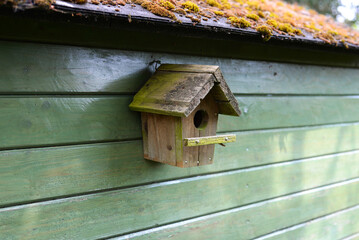 Nichoir sur cabanon de jardin