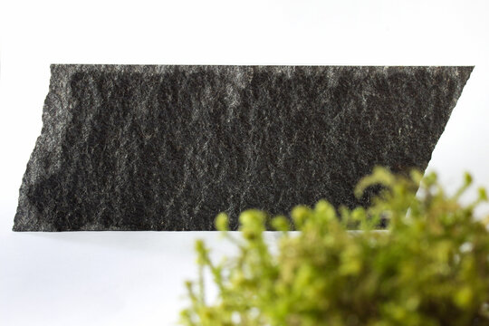 Abstract composition with large textured black stone and green blurred moss on white background.
